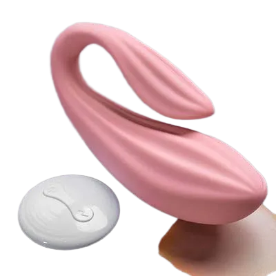 Dragon Sea Beef Remote Panty Vibrator Asian Style Quiet Toy