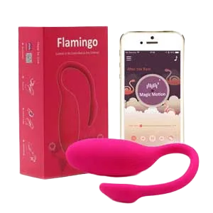 EG34 Phone-Controlled G-Spot Vibrator Unique Couple Toy
