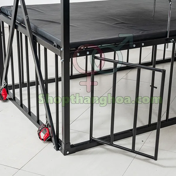 Multi-Function BDSM Torture Bed with Realistic Dildo — photo 4