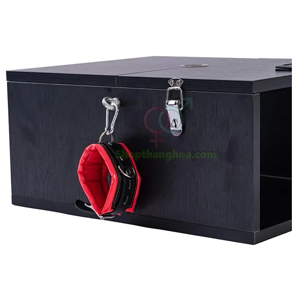 Queen Style Male Bondage Kit BDSM Restraint Tools — photo 4