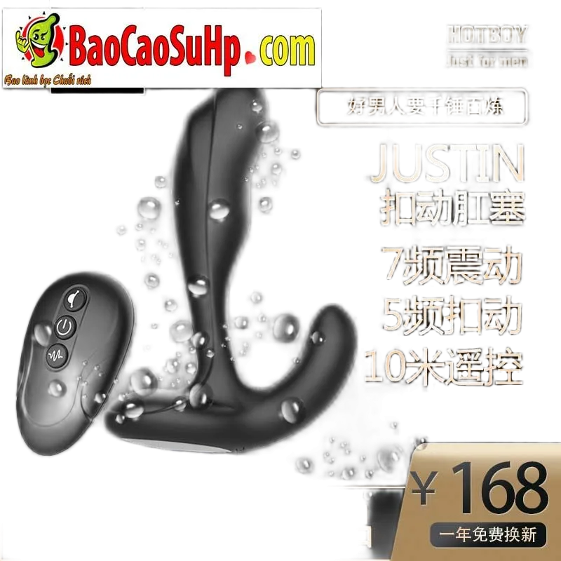 Hotboy Justin Prostate and Anal Stimulator Vibrator