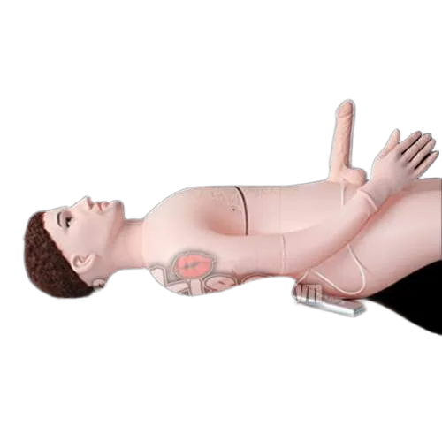 Inflatable Male Model Sex Doll Female Masturbation Aid