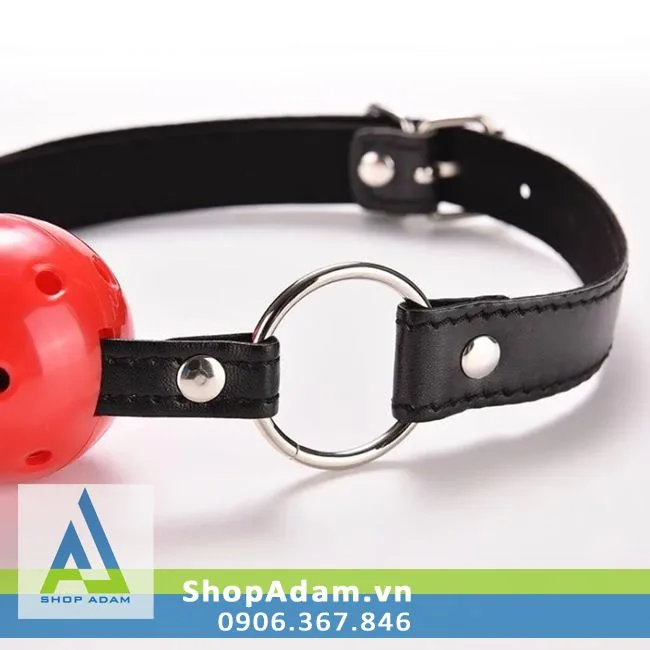 Round Ball Gag Lock Bondage Toy for Couples Play — photo 2