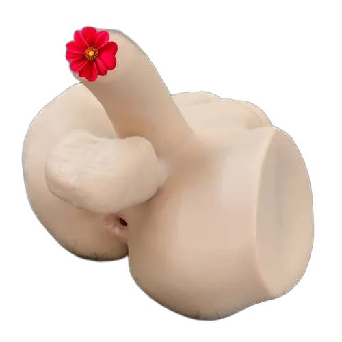 Laelia Toy Male Dildo with Anal Plug SHP1183