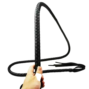 Leather whip BDSM intense sensation adult toy