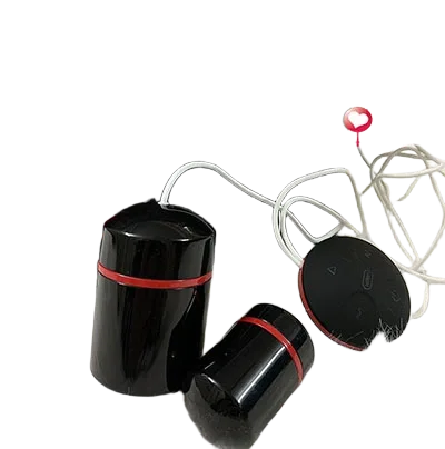Leten Rechargeable Double Vibrator Love Egg Couples Massage