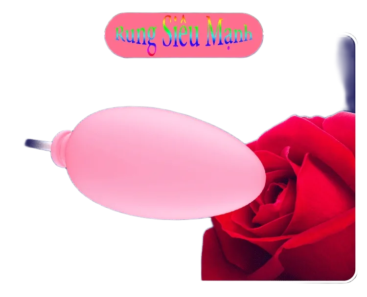 Leten Dual Vibrating Rechargeable Electric Eggs