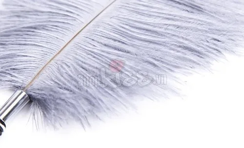 Ostrich Feather Sensual Pleasure Tickler Couples Pain Play — photo 3