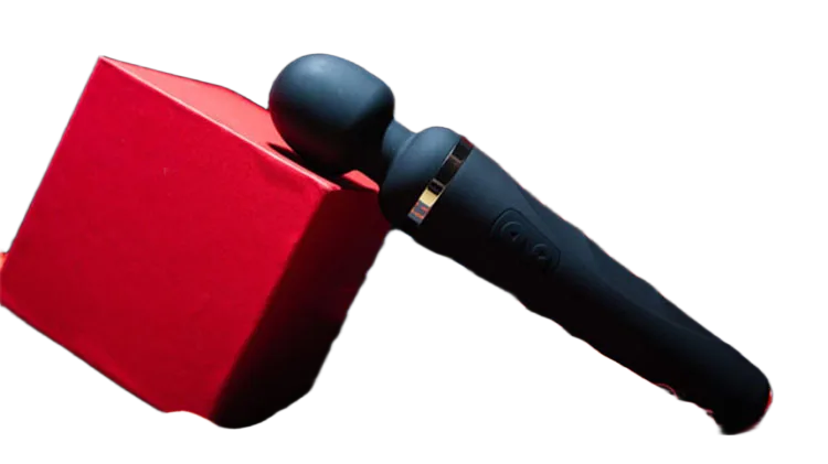 Lovense Domi 2 Remote Controlled Powerful Vibrator