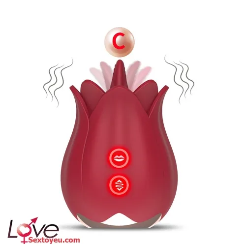 Rose Tongue Vibrator with Egg 25 Modes G-Spot Stimulation — photo 3