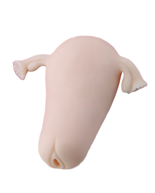 ManMiao Real Uterus Silicone Female Masturbator