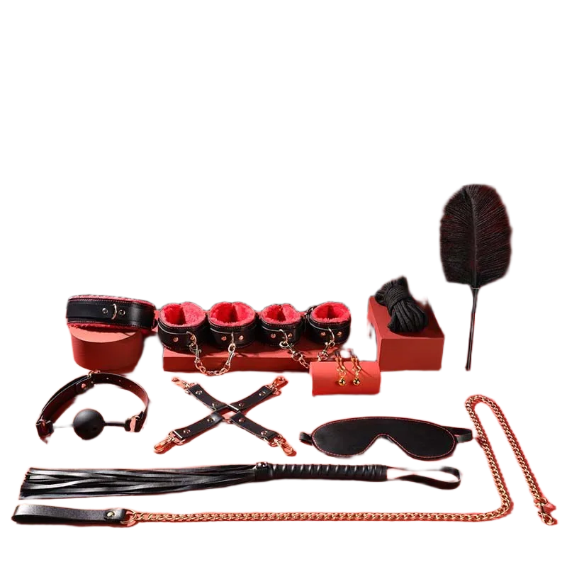 Mizzzee BIN002 10-Piece BDSM Deluxe Kit