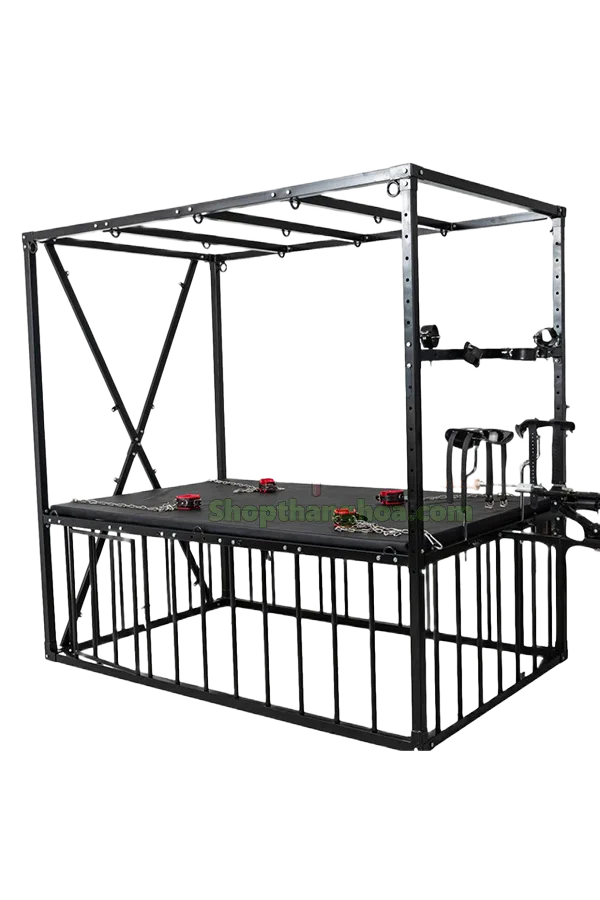 Multi-Function BDSM Torture Bed with Realistic Dildo