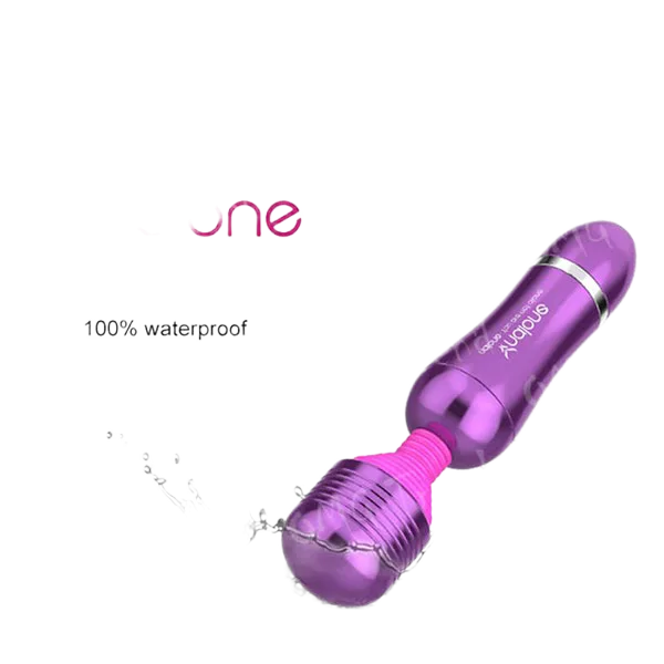 Nalone Roma Mini Heated Full Body Massager Metal Silicone Japan Toy
