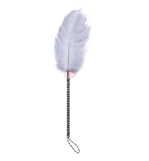 Ostrich Feather Sensual Pleasure Tickler Couples Pain Play
