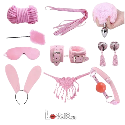 Premium Pink SM BDSM Set Leather Metal Feather Accessories