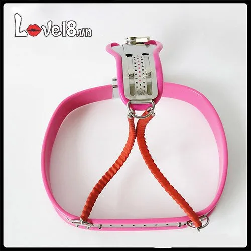 Y Shape Stainless Steel Female Chastity Belt BDSM — photo 5