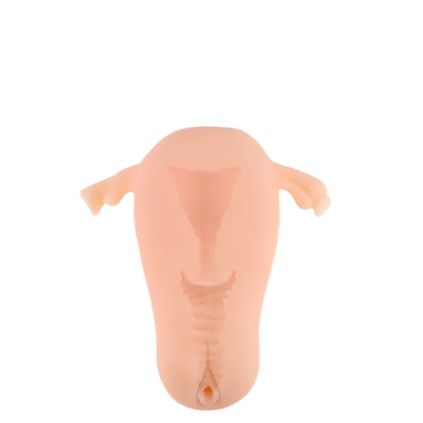 Realistic Male Masturbator Sex Toy Soft Medical Silicone