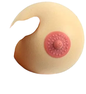 Realistic Silicone Breast Prosthesis Premium Hong Kong Brand