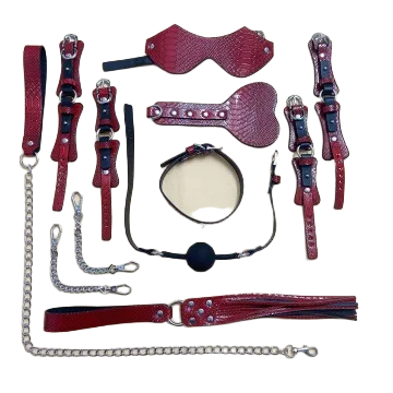 Red Vein 10-Piece BDSM Leather & Stainless Steel Set