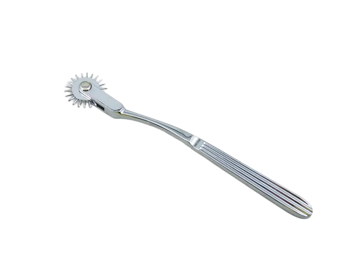 SM Metal Spiked Rolling Rod for Intense Erotic Sensations