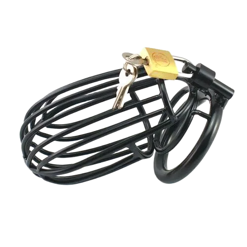 Stainless Steel BDSM Cock Cage Lock for Elite Play