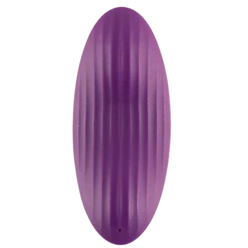 Svakom Edeny App-Controlled Panty Vibrator Clitoral Stimulator