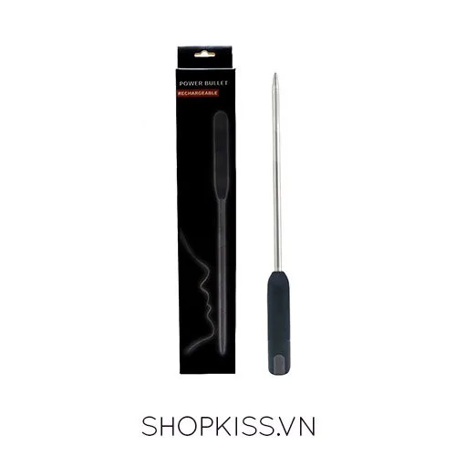Stainless Steel Urethral Vibrator Rechargeable 160mm — photo 2