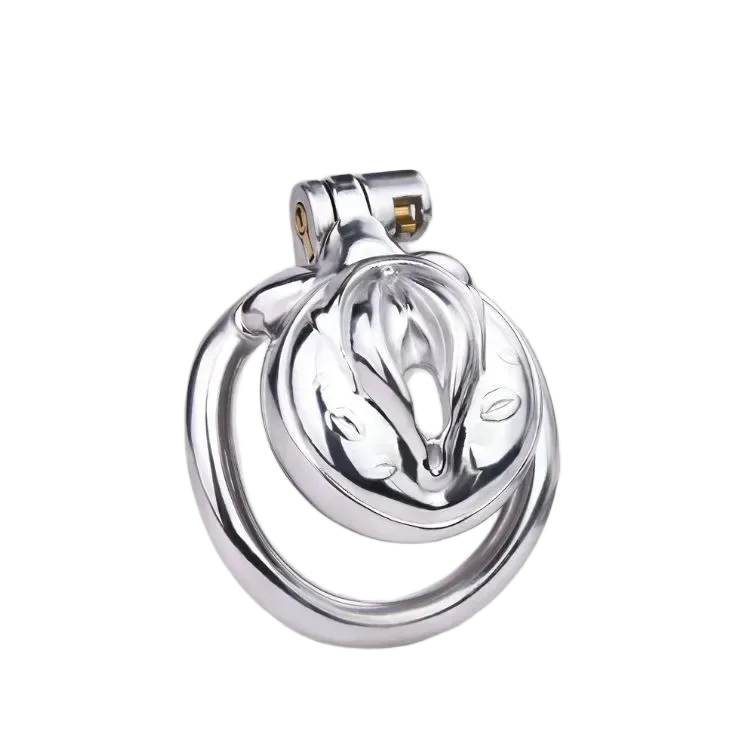 Vaginal Lock Penis Cage Stainless Steel Erotic Restraint