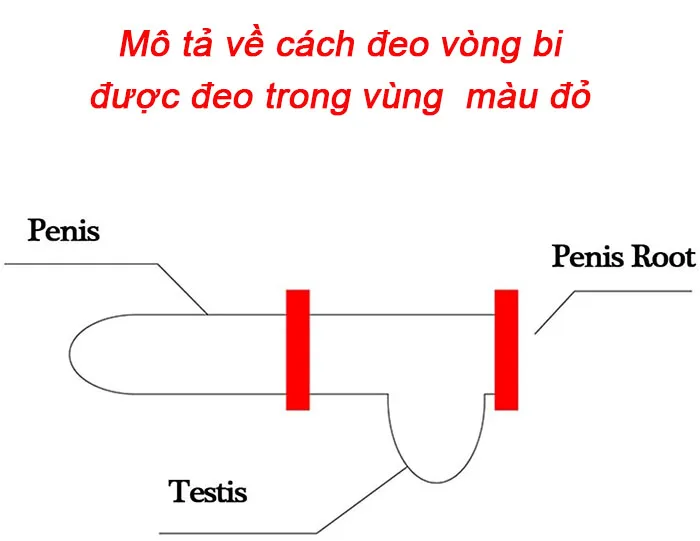 DC70P Stainless Anti-Ejaculation Metal Penis Ring — photo 3