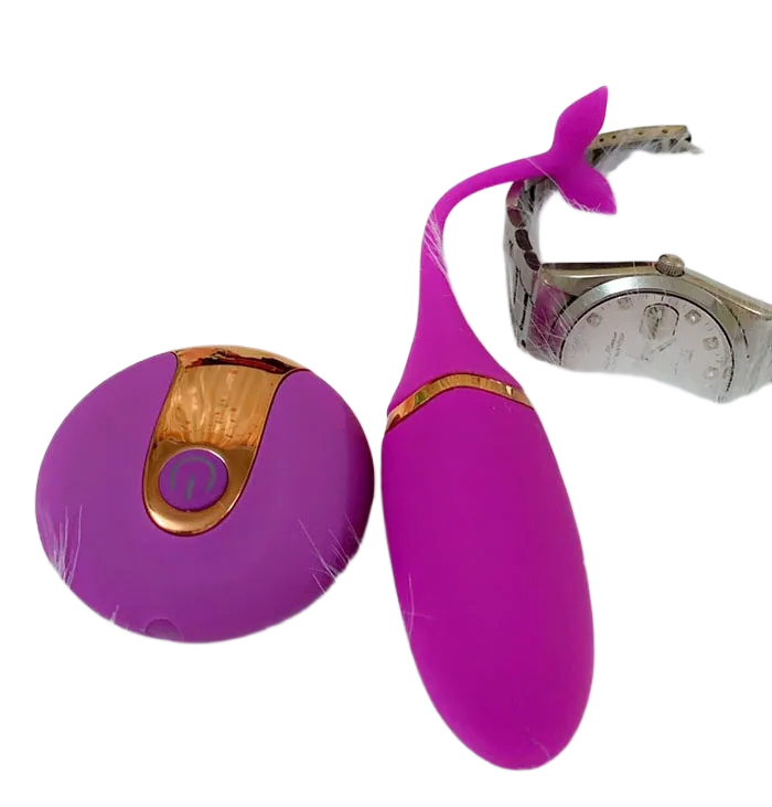 Wireless Dolphin Vibrating Egg for Couples and Solo Play